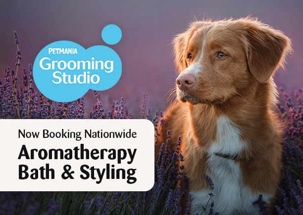 Dog Grooming at Petmania • Book online today!